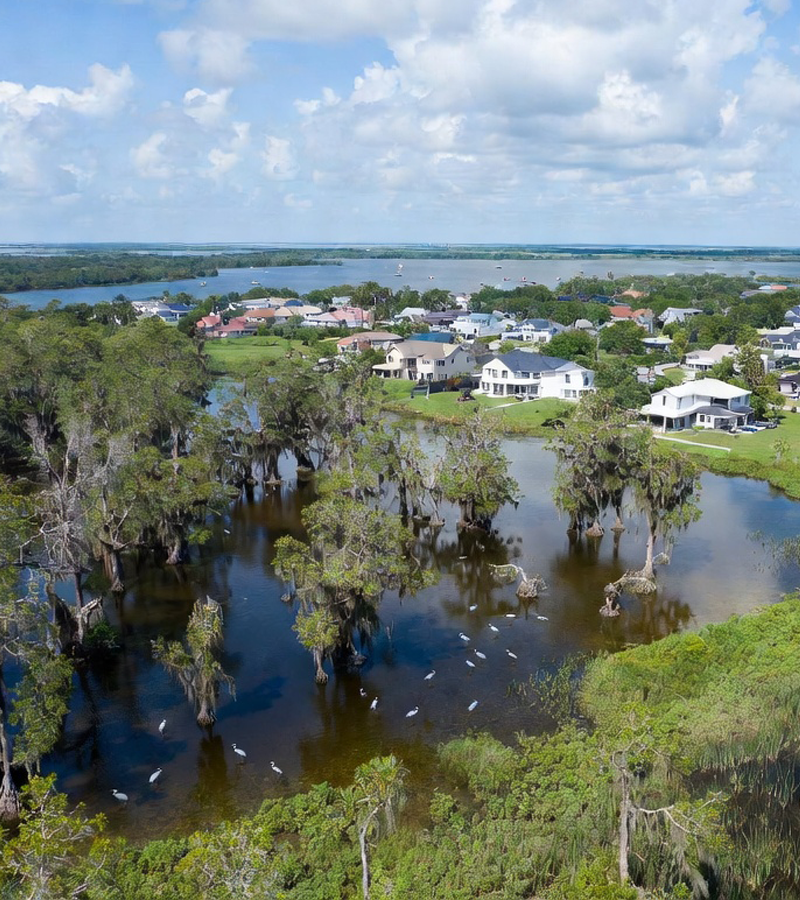Louisiana Wetlands